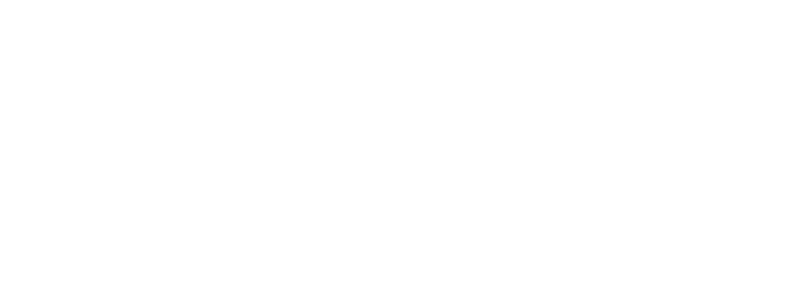Skina Technologies
              SAS